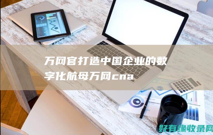 万网官：打造中国企业的数字化航母 (万网cname)