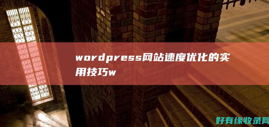 wordpress网站速度优化的实用技巧 (wordpress自助建站)