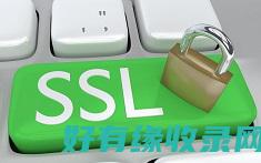 选择SSL证书时，如何平衡性能和费用？ (ssl证书如何配置)