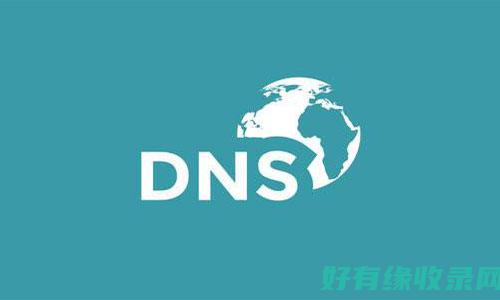 新网dns的工作原理及其在互联网中的作用 (新网 dnspod)