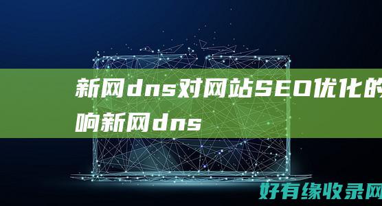 新网dns对网站SEO优化的影响 (新网 dnspod)