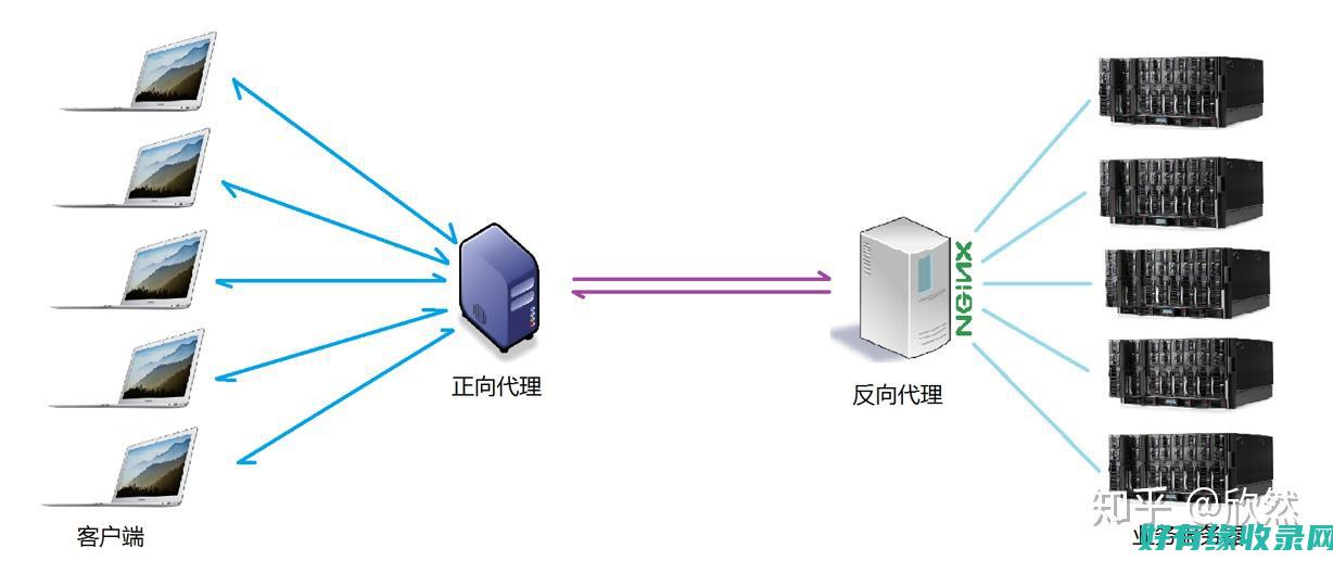 网络代理服务的未来发展方向和发展趋势预测 (网络代理服务器设置)
