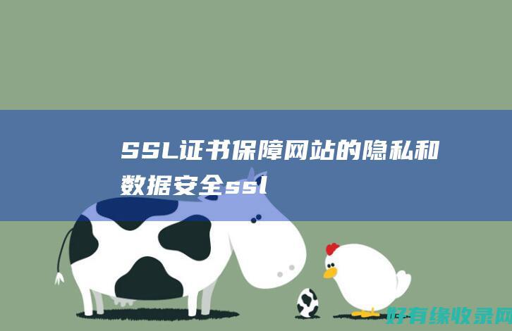 SSL证书保障网站的隐私和数据安全ssl