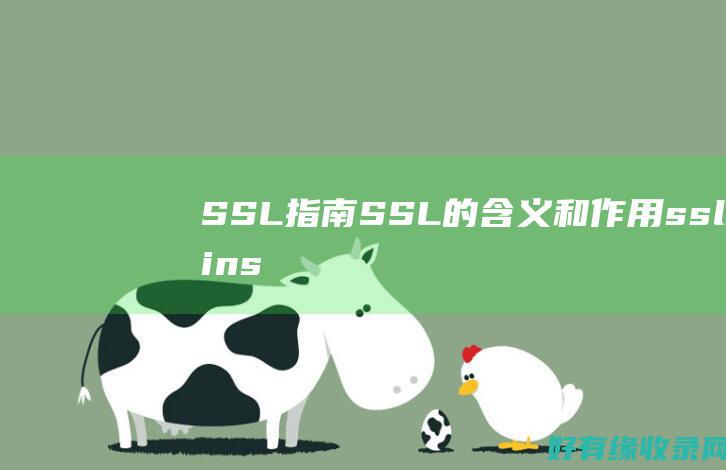SSL指南：SSL的含义和作用 (ssl inspection)
