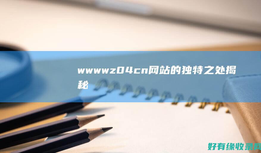 www wz04 cn网站的独特之处揭秘