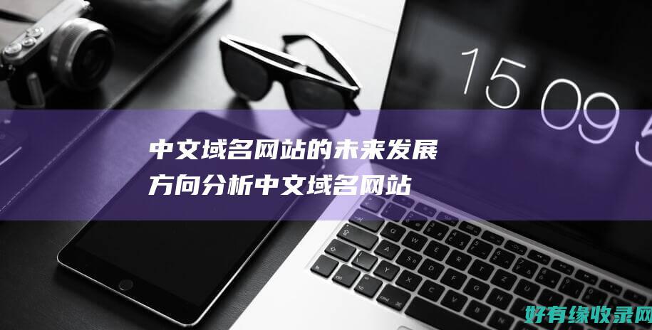 中文域名网站的未来发展方向分析中文域名网站