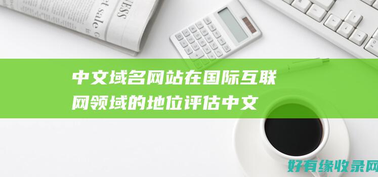 中文域名网站在国际互联网领域的地位评估 (中文域名网站有哪些)