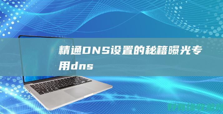 精通DNS设置的秘籍曝光 (专用dns)