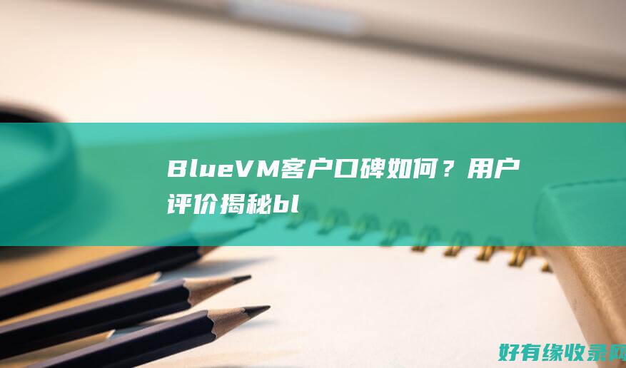 BlueVM客户口碑如何？用户评价揭秘 (bluevm.tips)