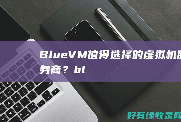 BlueVM：值得选择的虚拟机服务商？ (bluevm.tips)