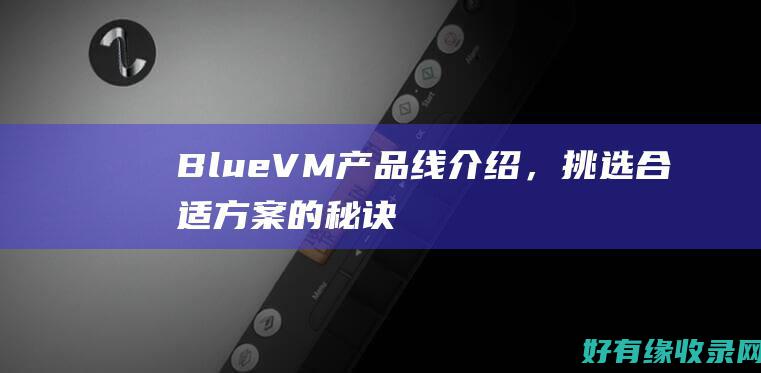 BlueVM产品线介绍，挑选合适方案的秘诀 (bluevm.tips)