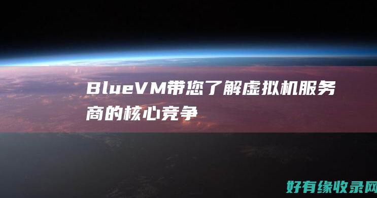 BlueVM：带您了解虚拟机服务商的核心竞争力 (bluevm.tips)