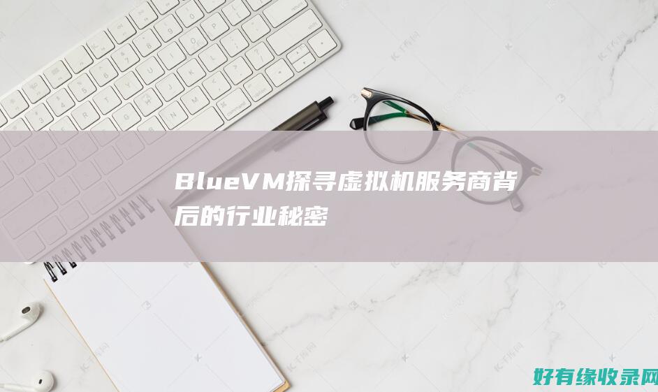 BlueVM：探寻虚拟机服务商背后的行业秘密 (bluevm.tips)