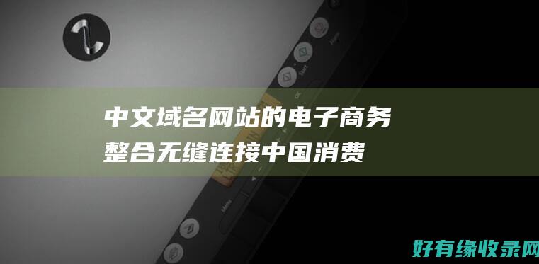 中文域名网站的电子商务整合：无缝连接中国消费者 (中文域名网站骗局)