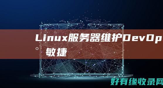 Linux 服务器维护 DevOps 指南：将敏捷实践融入您的维护工作流程 (linux服务器)