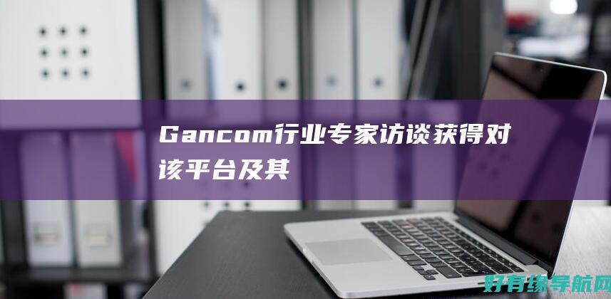 Gan.com 行业专家访谈：获得对该平台及其影响的独家见解 (干葱头)