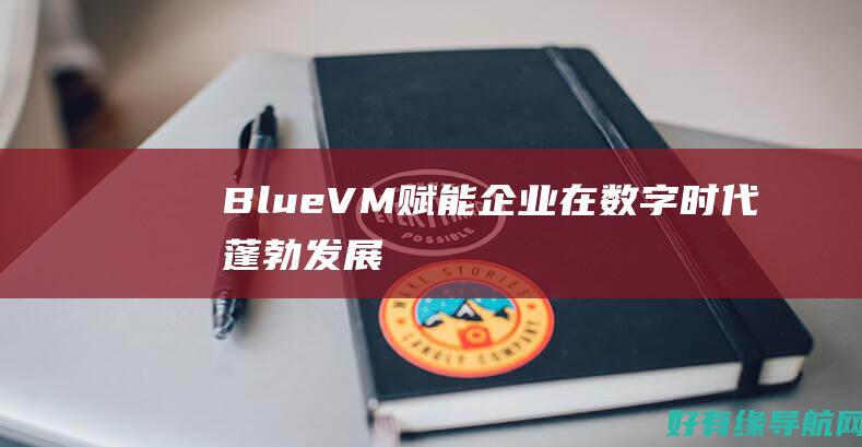 BlueVM：赋能企业在数字时代蓬勃发展