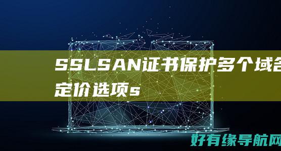 SSL SAN 证书：保护多个域名的定价选项 (ssl三次握手)