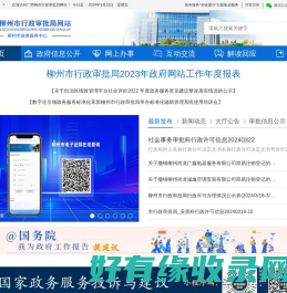 广西柳州市行政审批局网站